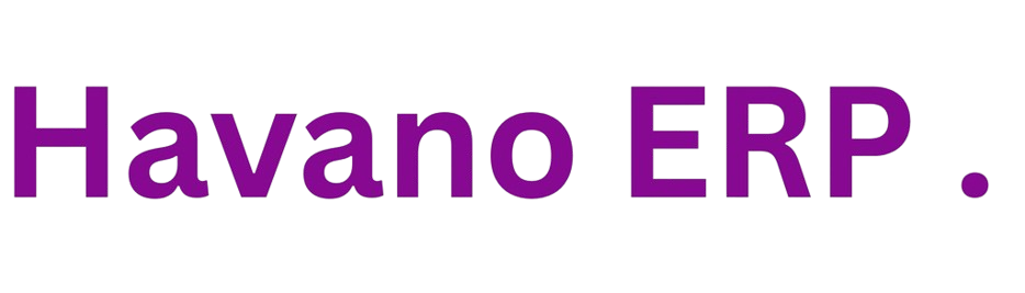 Havano ERP Logo